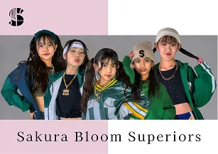 Sakura Bloom Superiors
